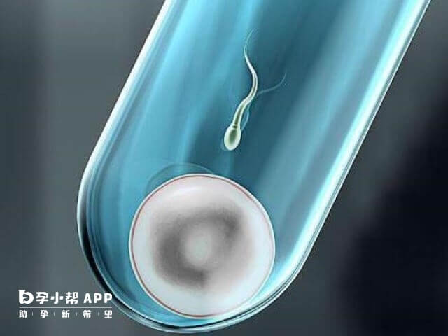 治疗早射最有效的方法是什么金锁固精丸 早射吃什么药最好金锁固精丸