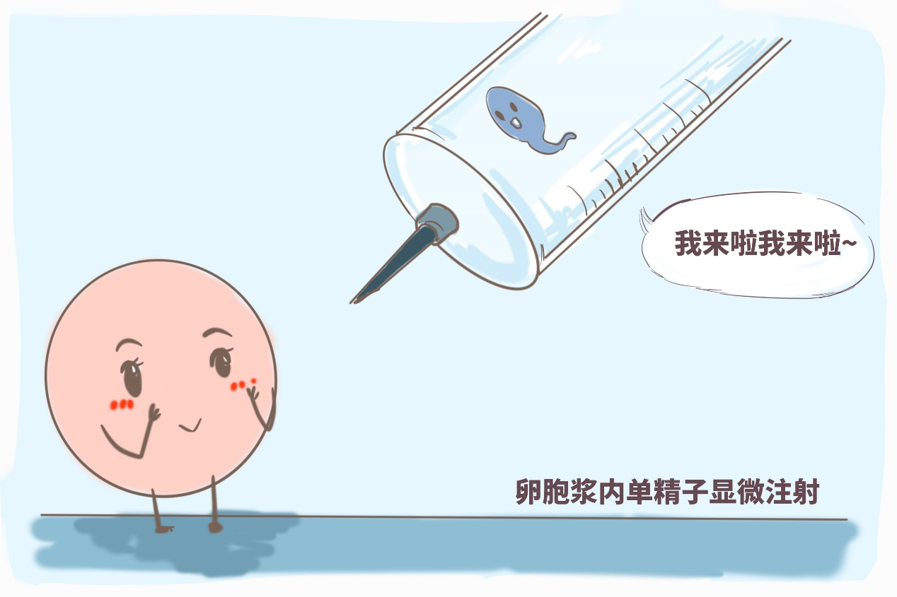 法律上未出生的胎儿是人吗 未出生的胎儿是否具有民事权利能力